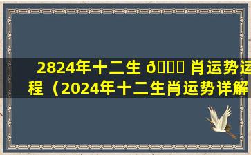 2824年十二生 🍀 肖运势运程（2024年十二生肖运势详解(最新完 🐎 整版)）